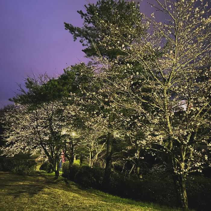 画像3124