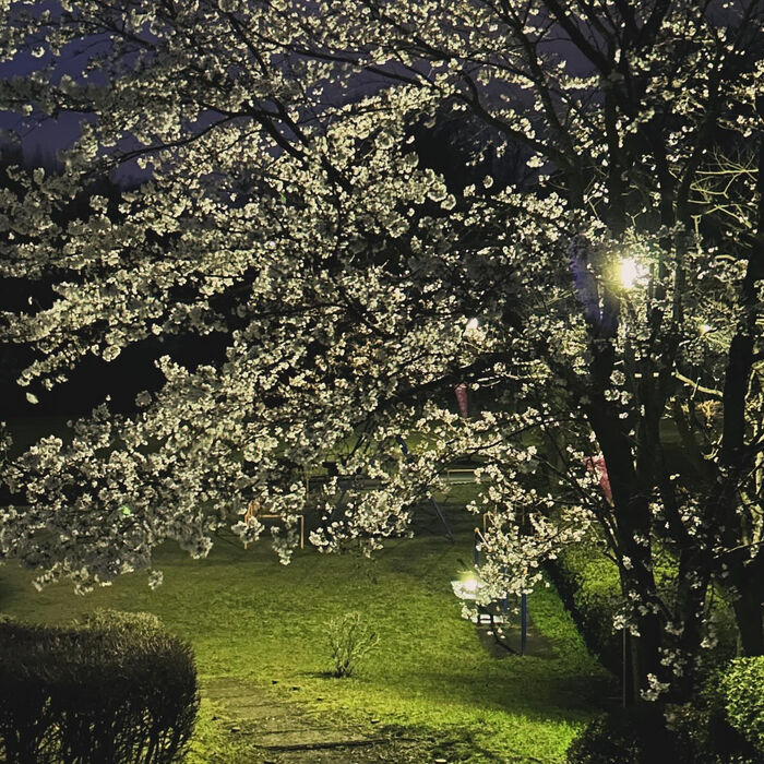 画像3125