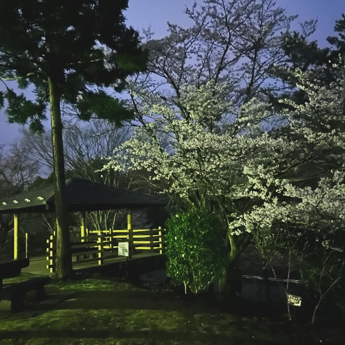 画像3126
