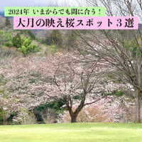 画像3128