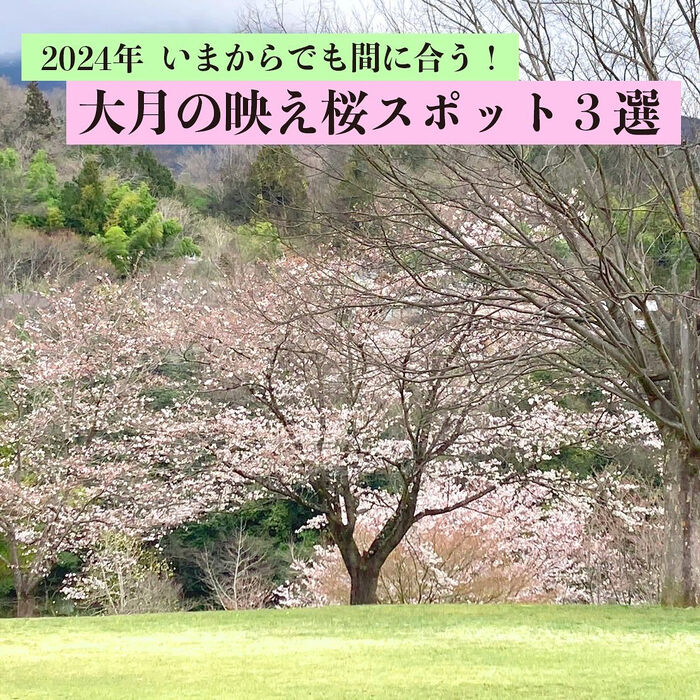 画像3128
