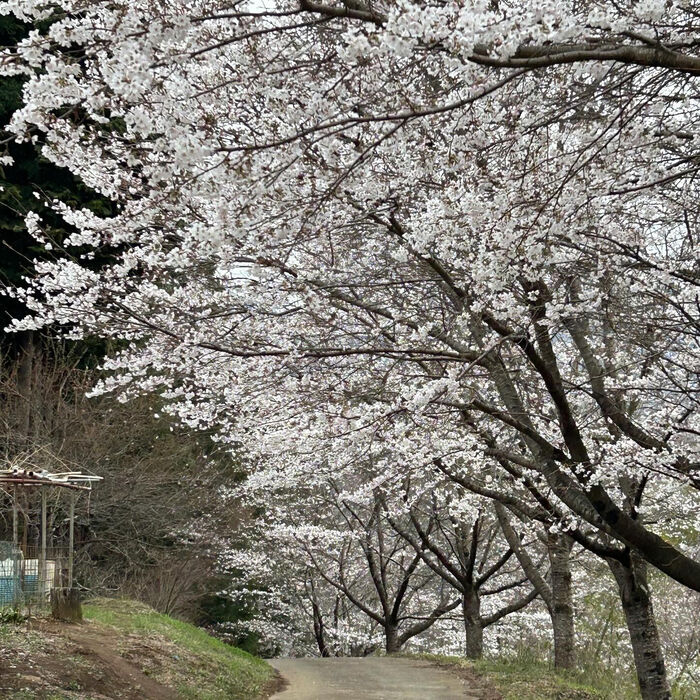 画像3130