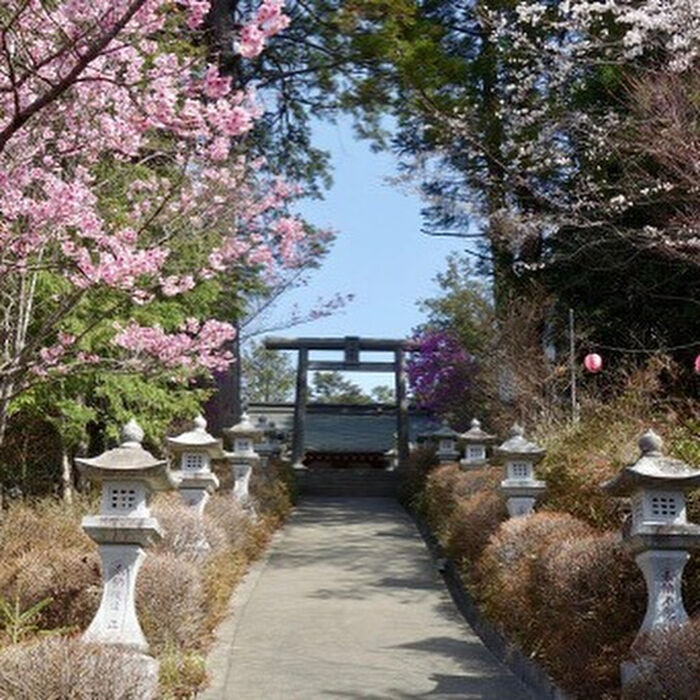 画像3137