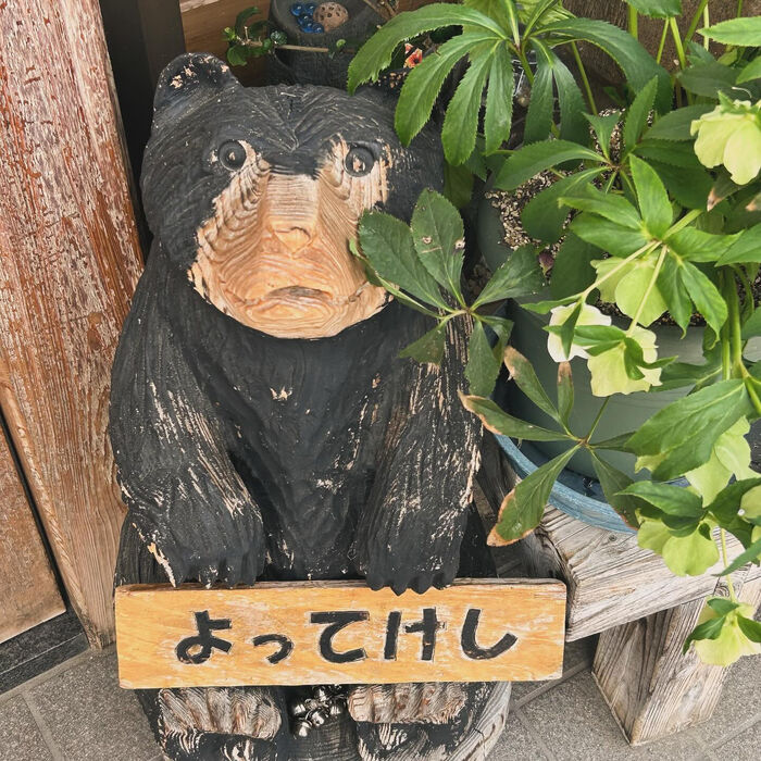 画像3147