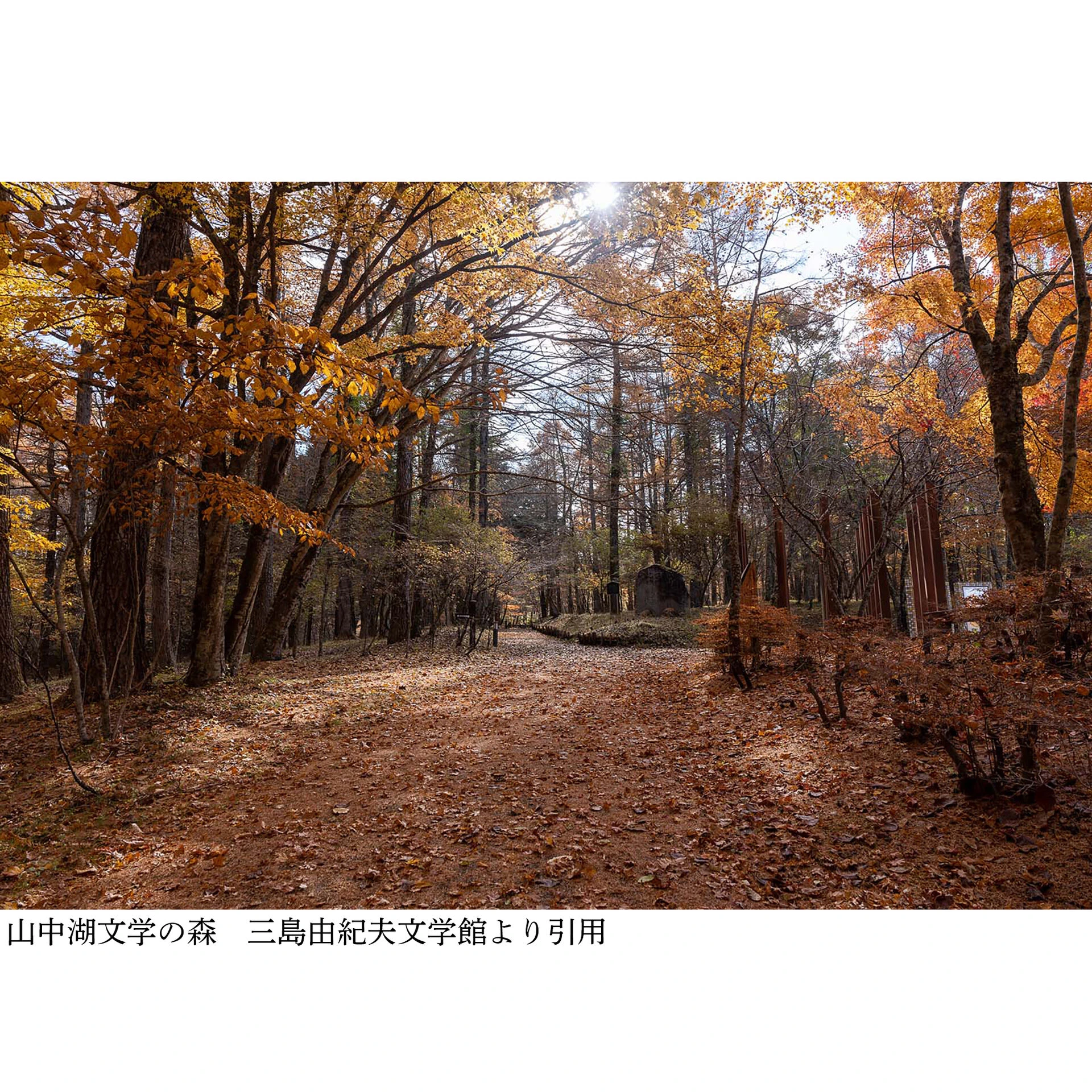 画像3539