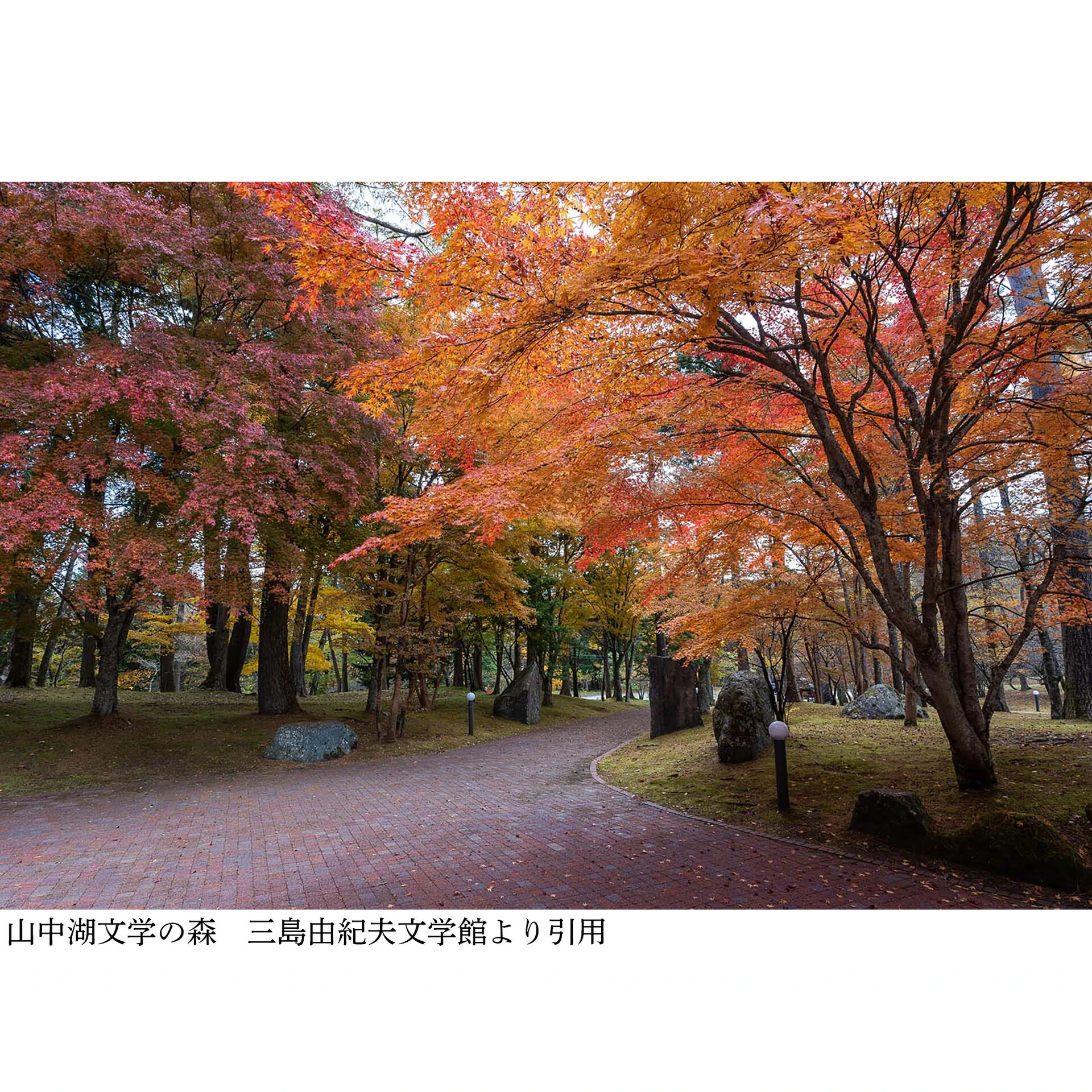 画像3540