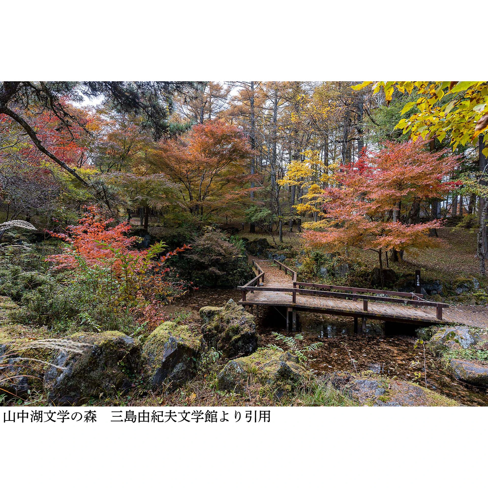 画像3541