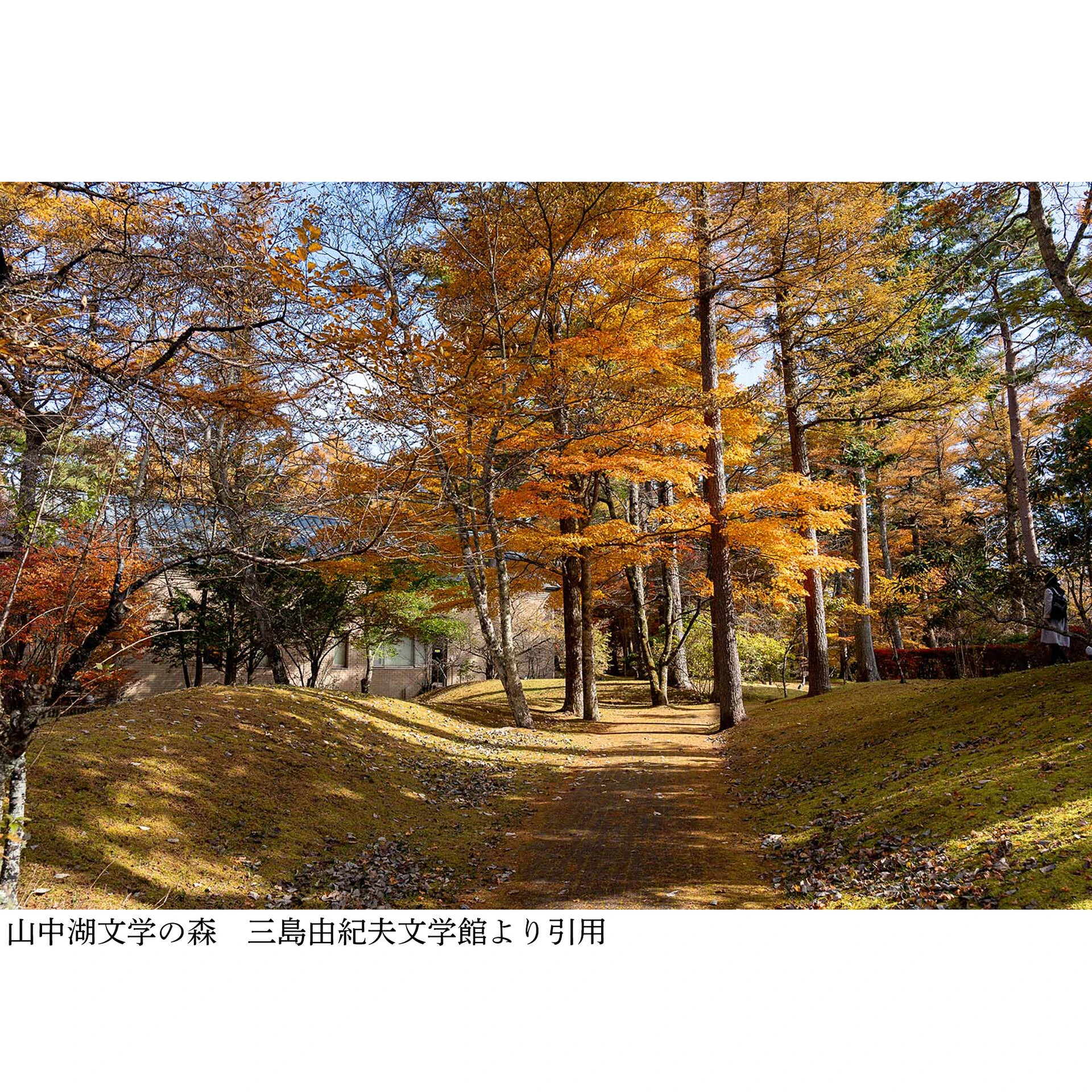 画像3542