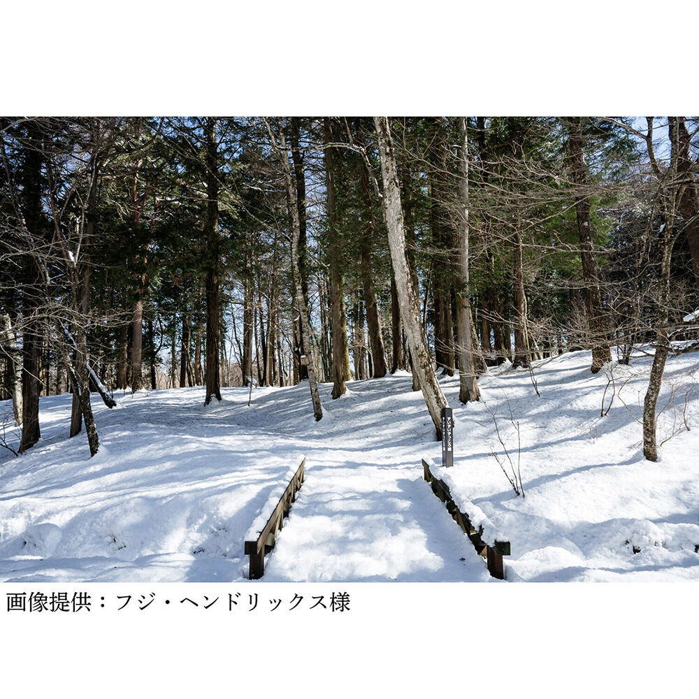 画像3723