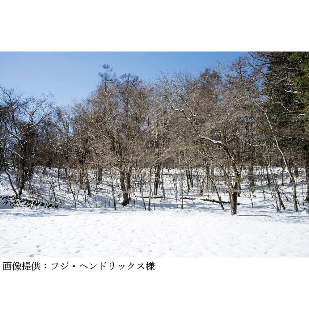 画像3725