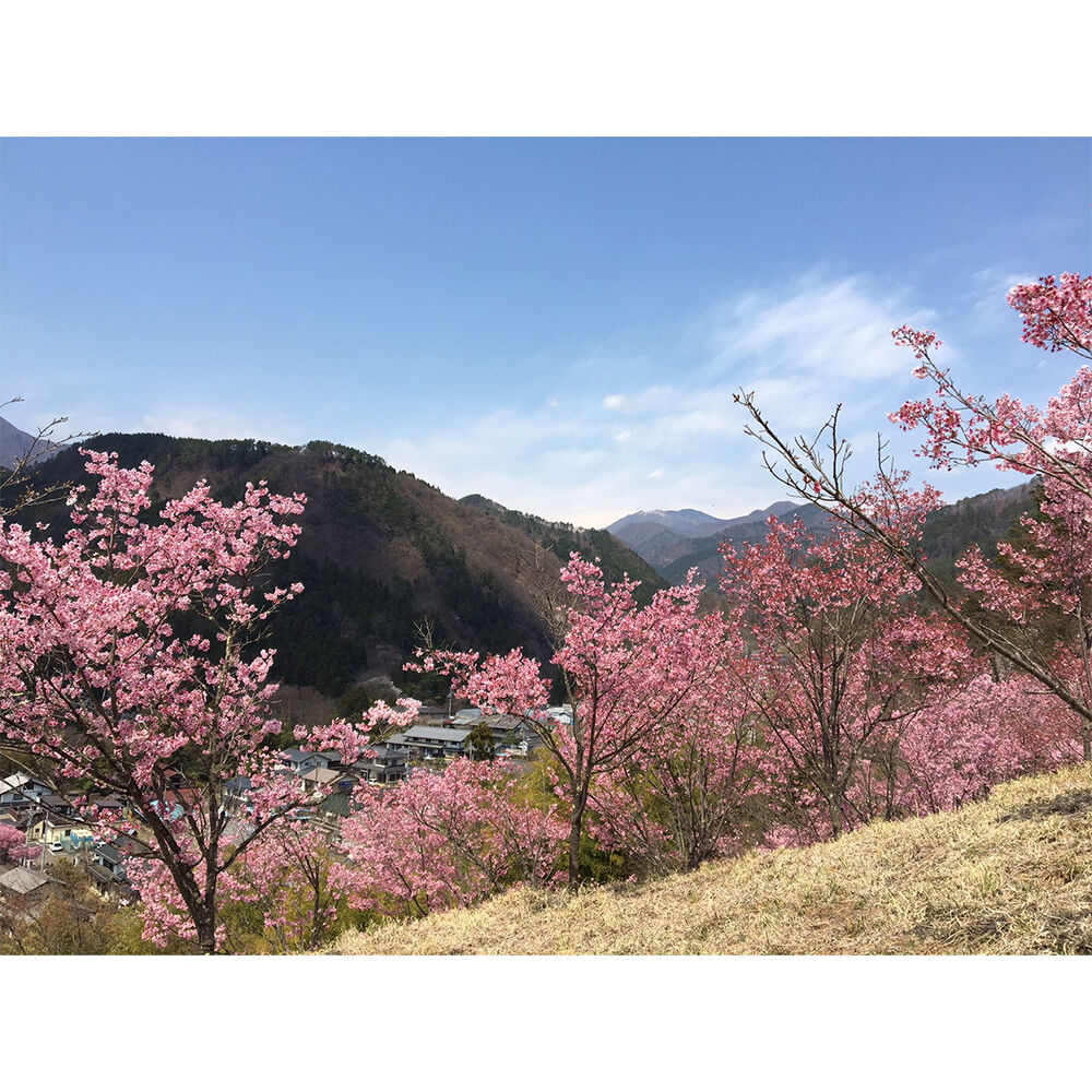 画像3789