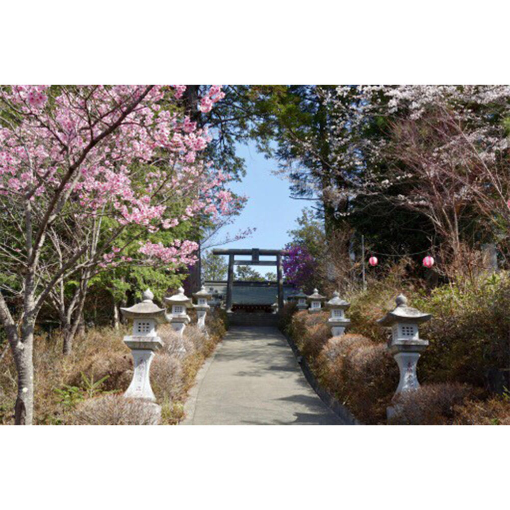 画像3790