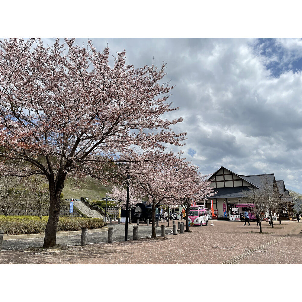 画像3838