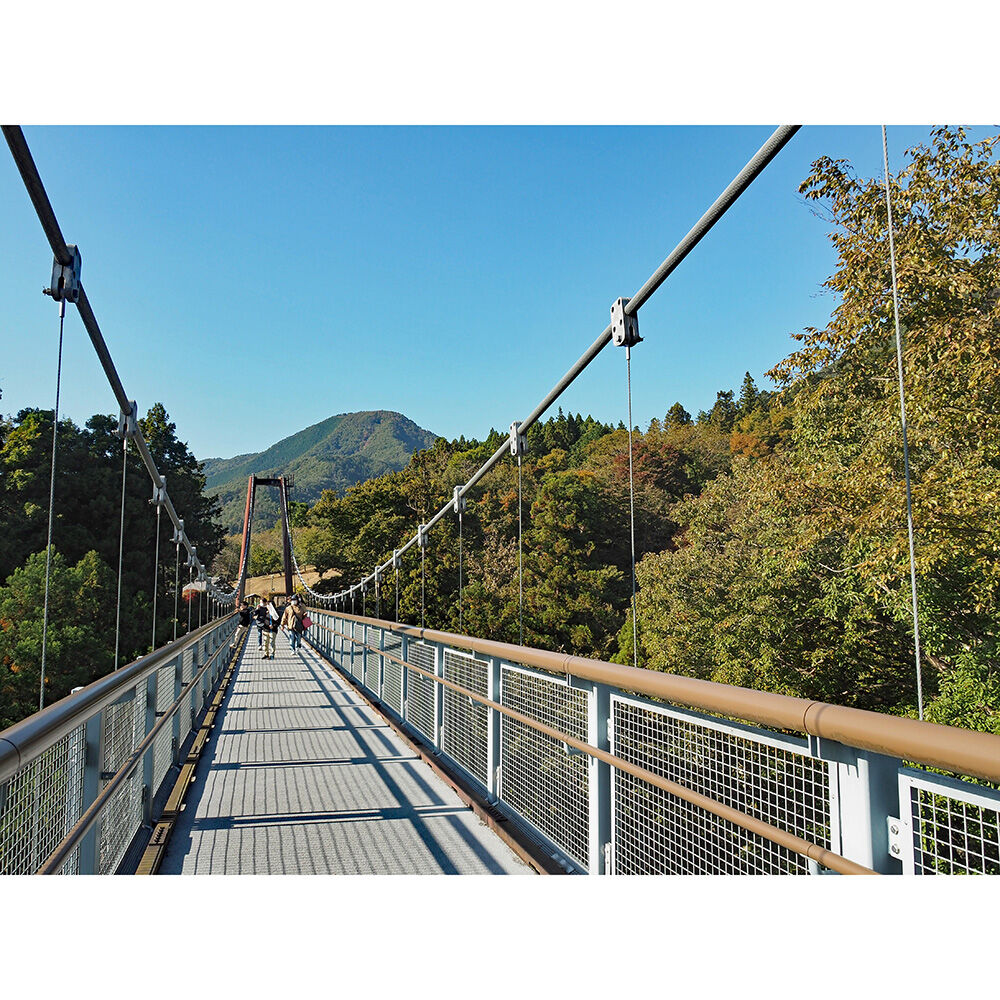 画像3844