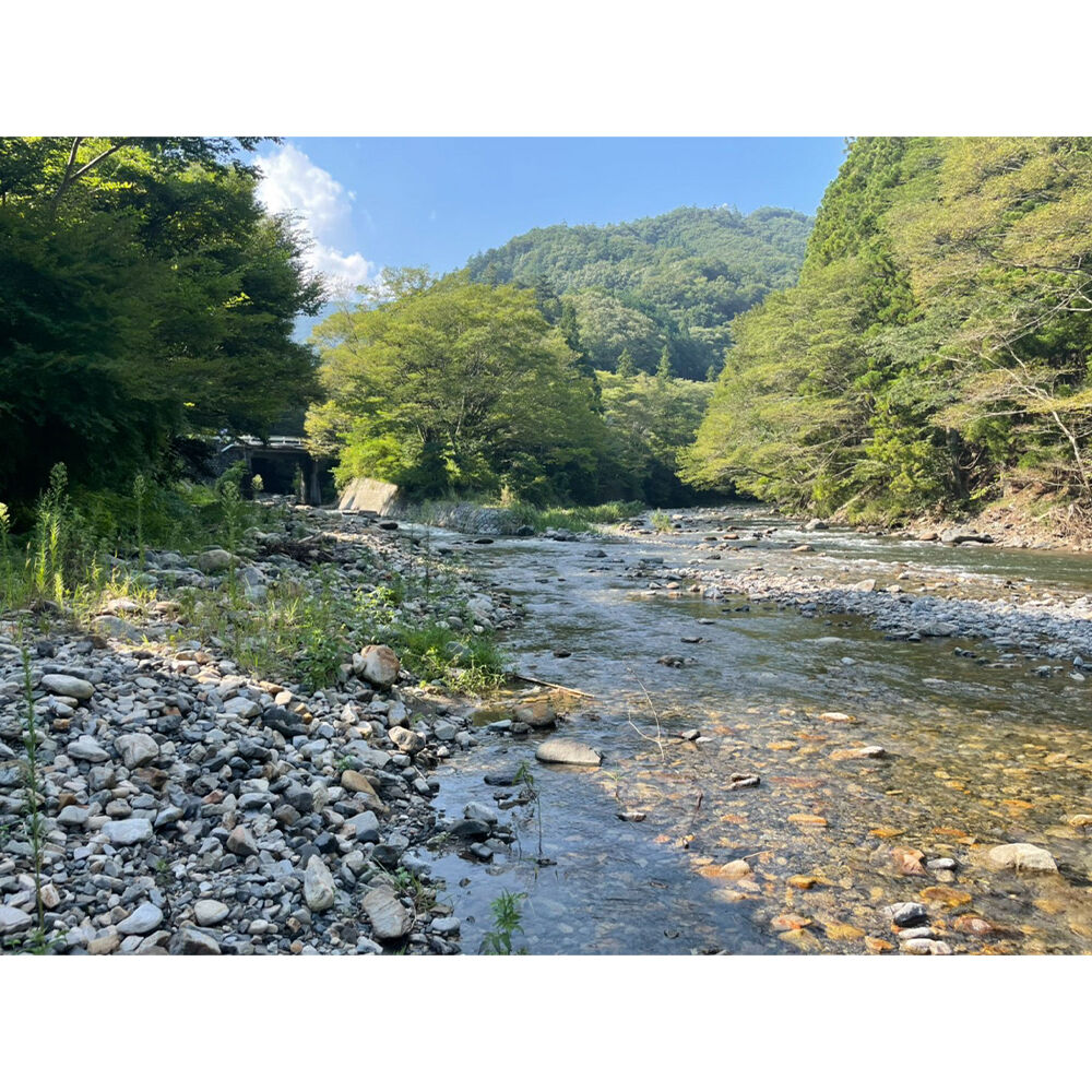 画像4195