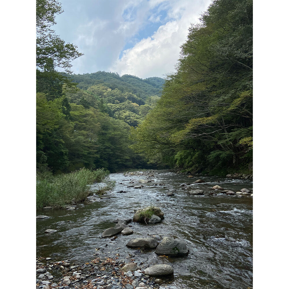 画像4197