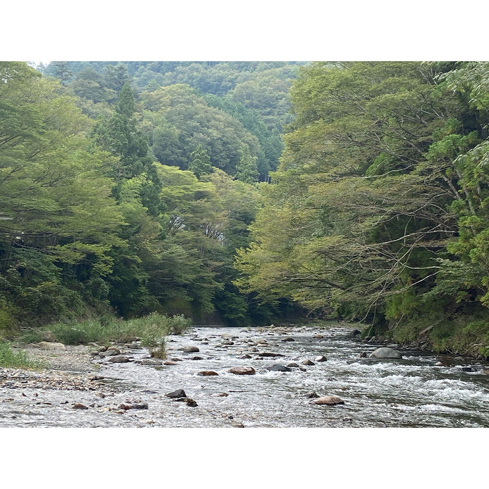 画像4203