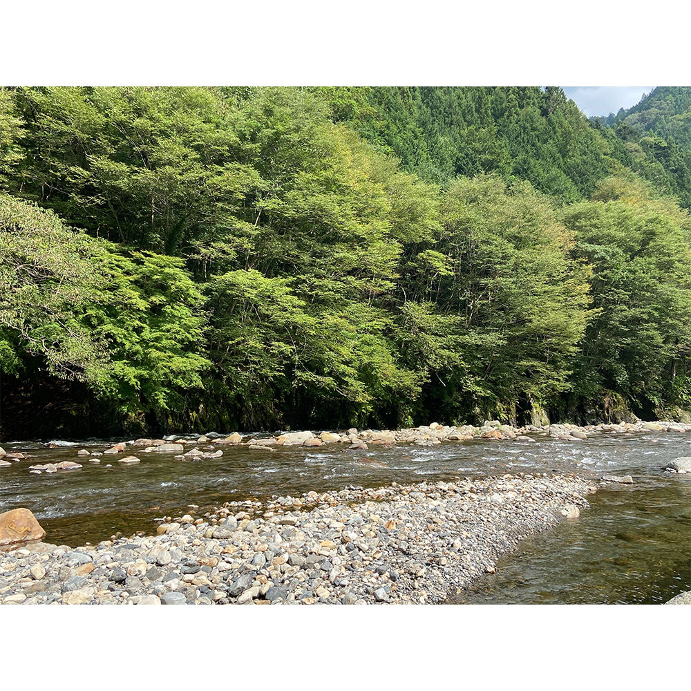 画像4206