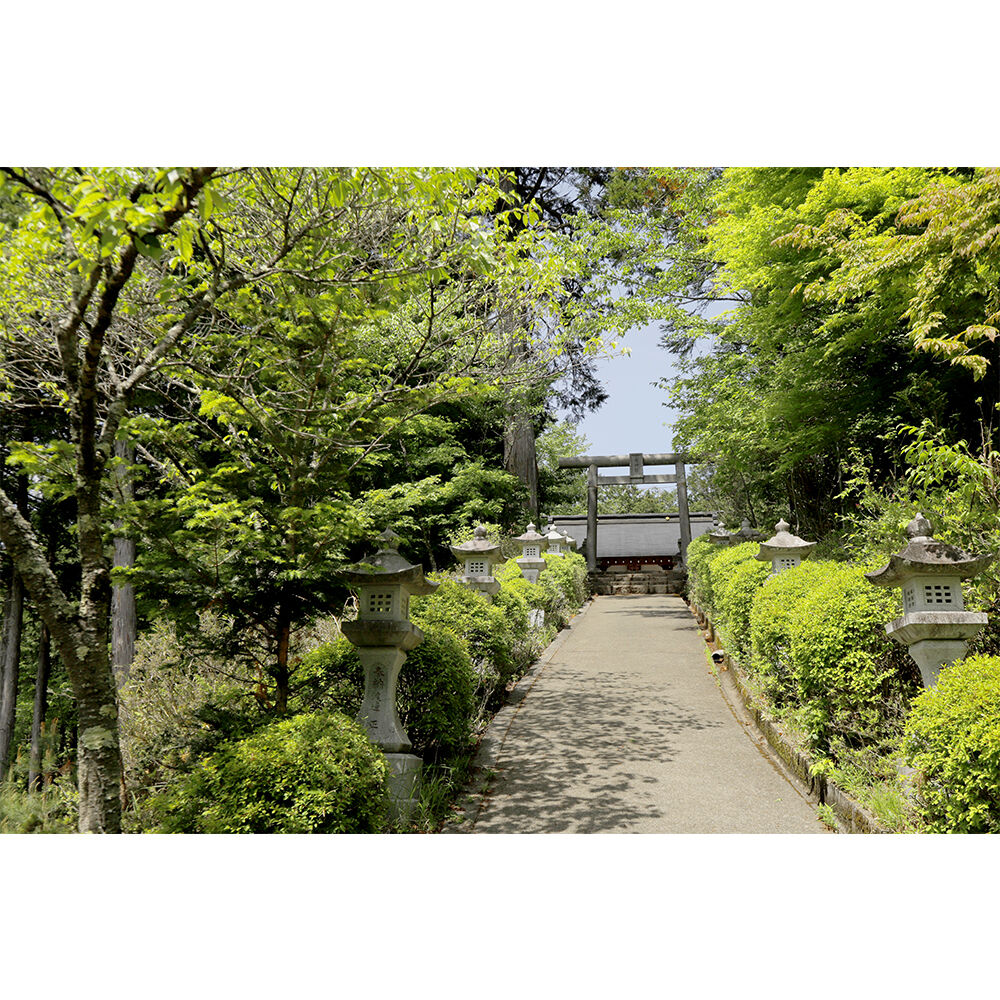 画像4213