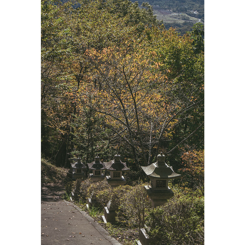 画像4215
