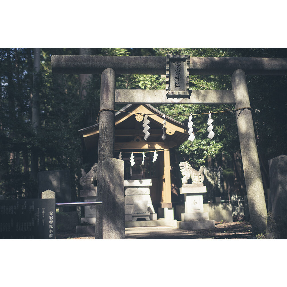画像4217