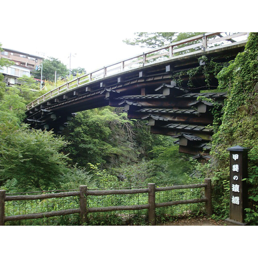 画像4290