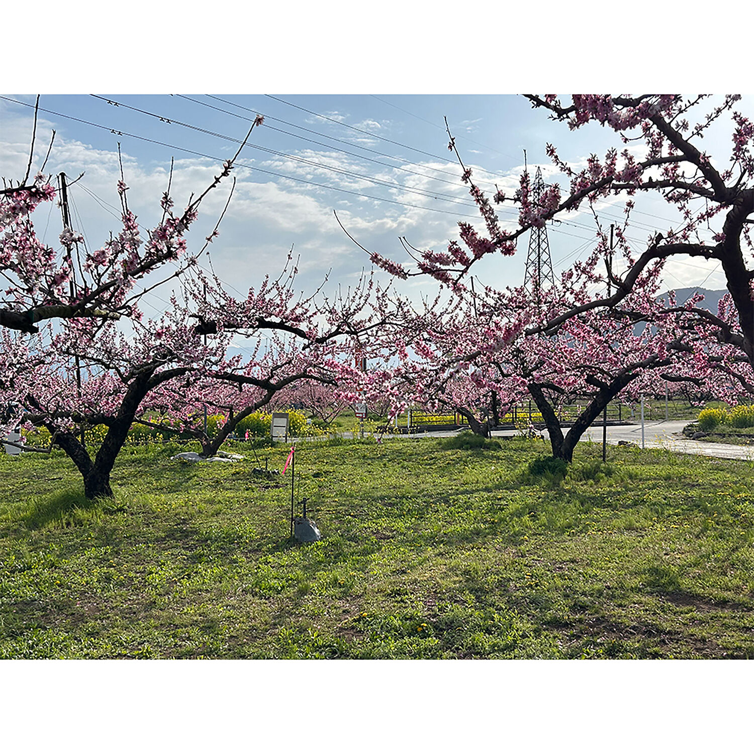 画像4359