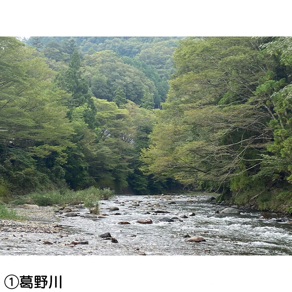 画像4400