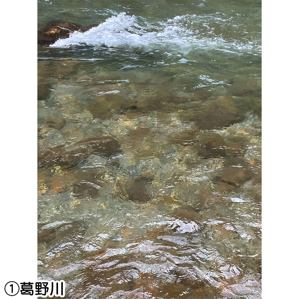 画像4401