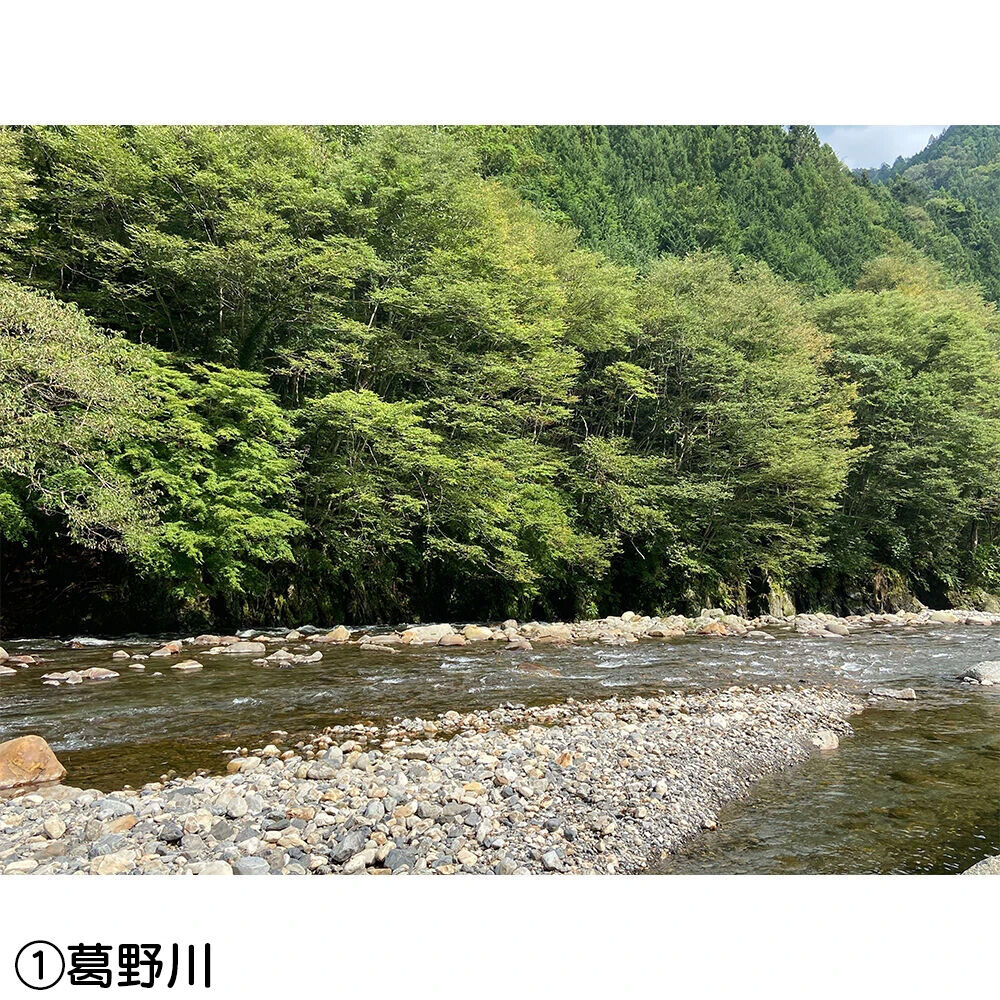 画像4404