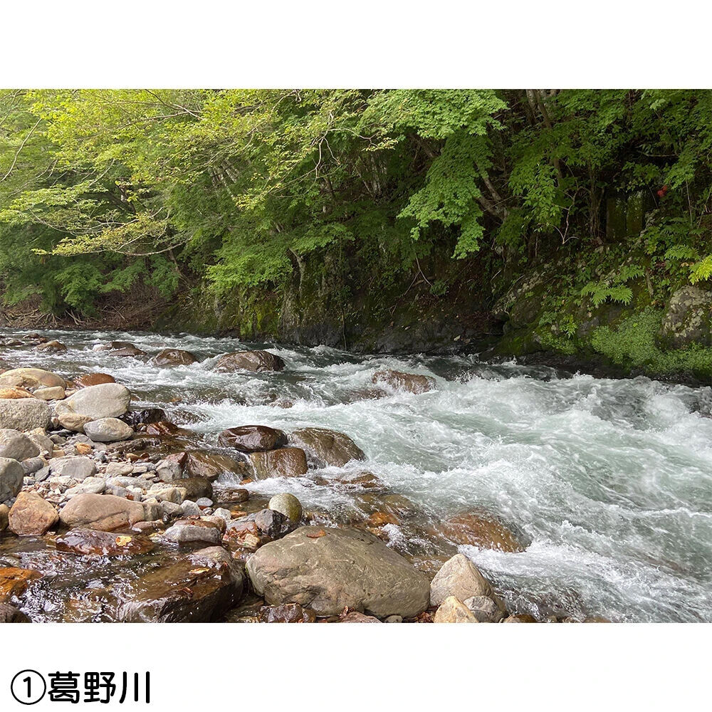 画像4405