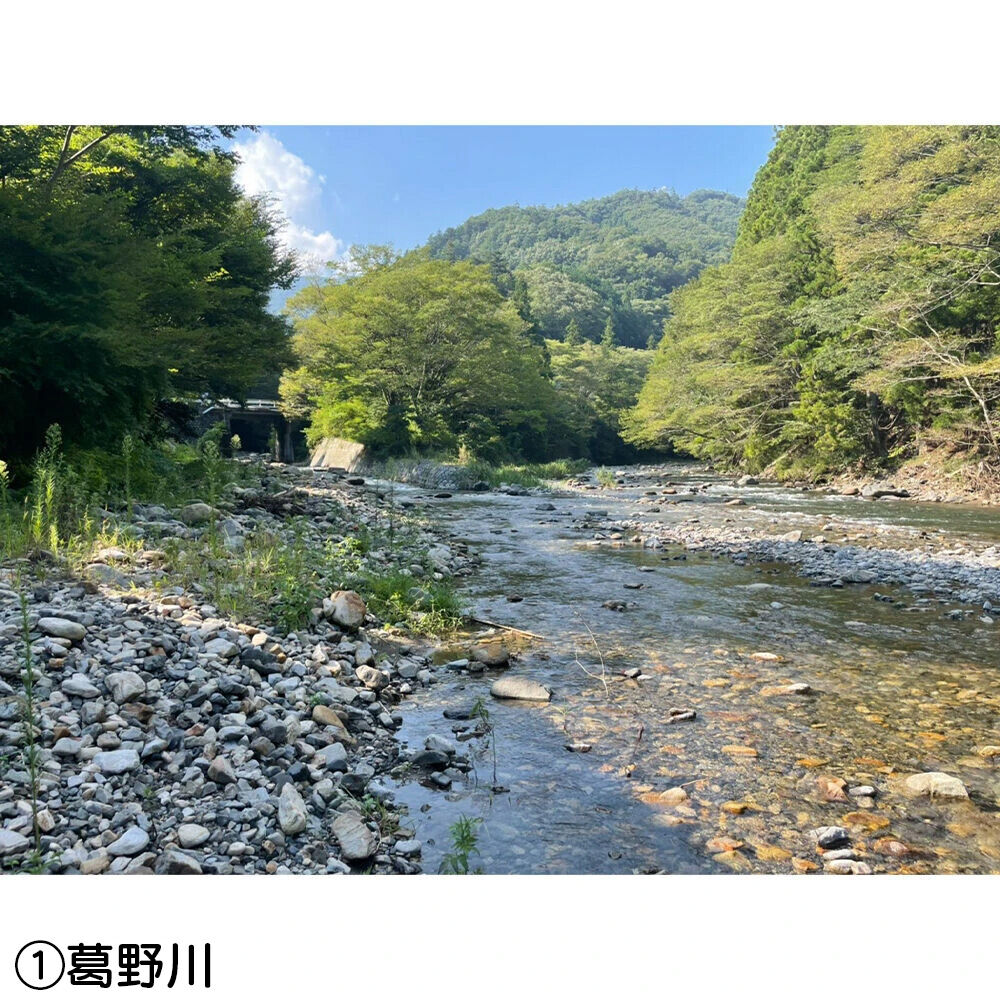 画像4407