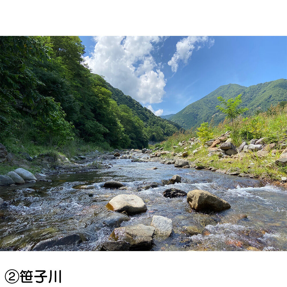 画像4408