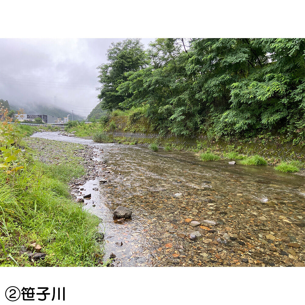 画像4409