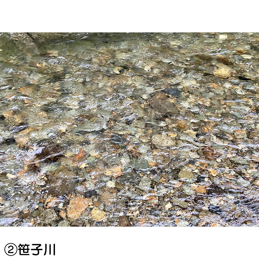 画像4410