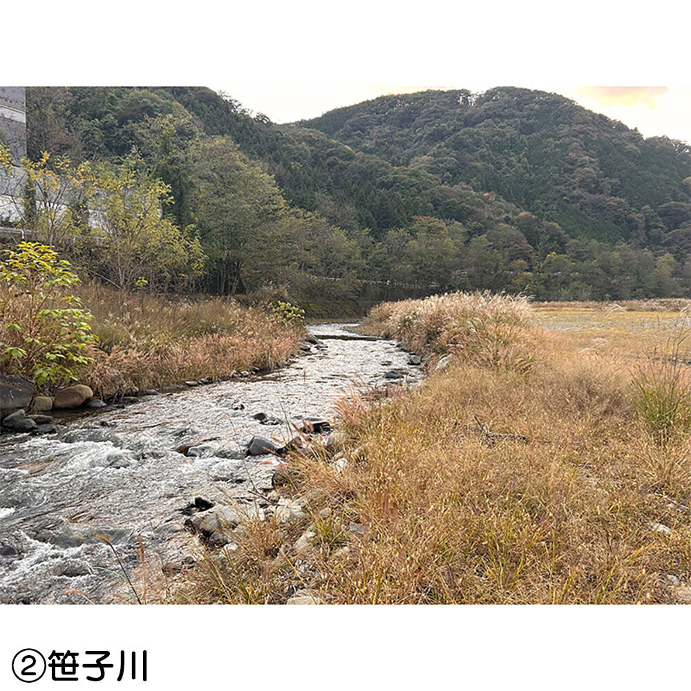画像4411