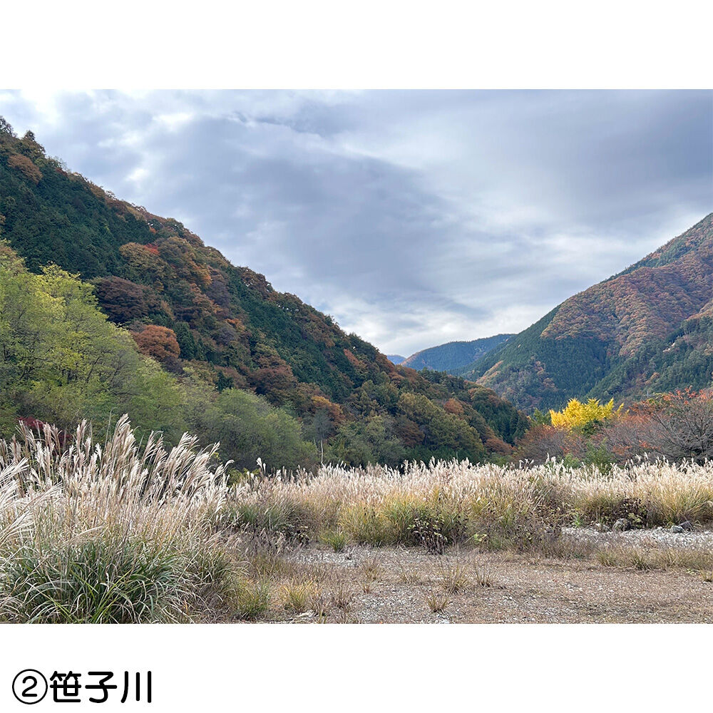 画像4412