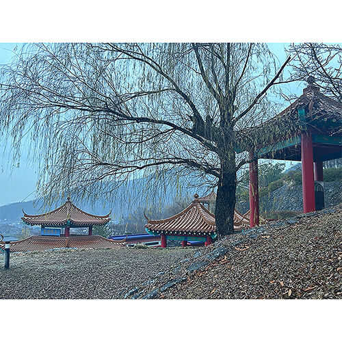 画像4445