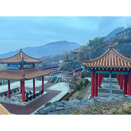画像4446