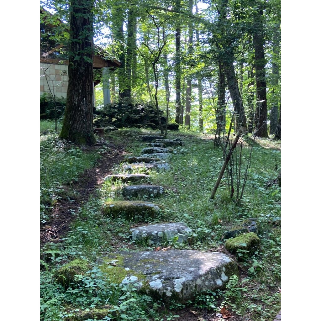 画像4501