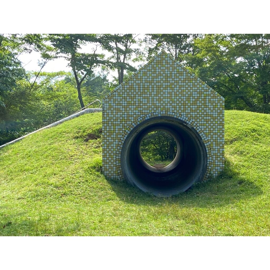画像4503