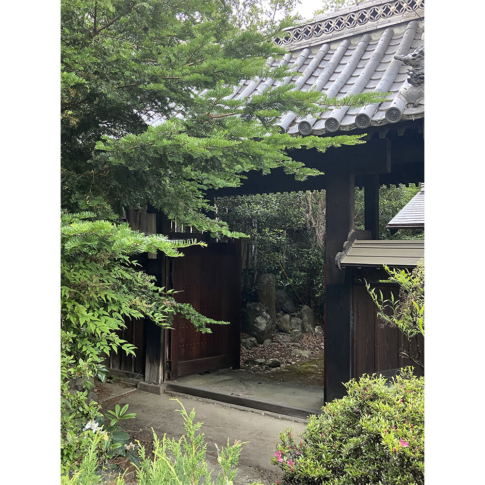 画像4598