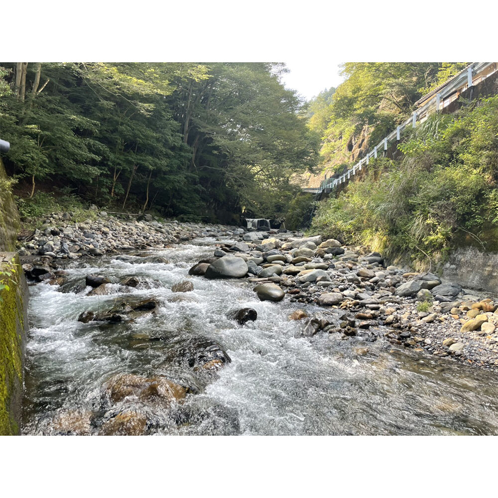 画像4779