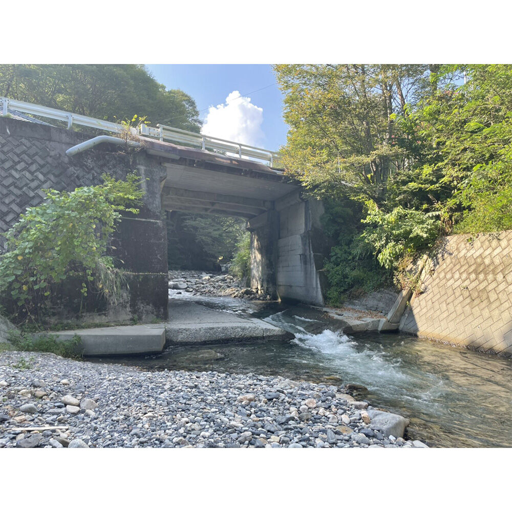 画像4780