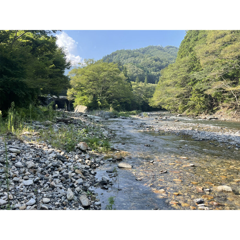 画像4781