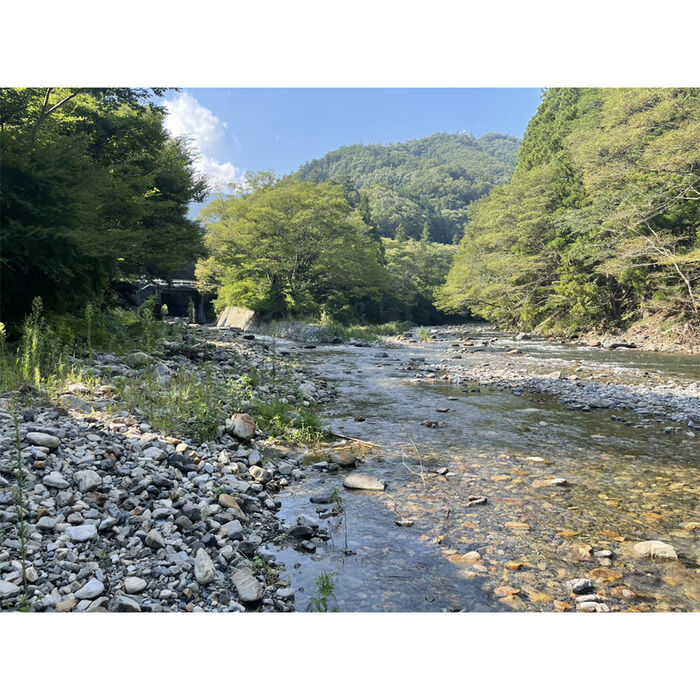 画像4781