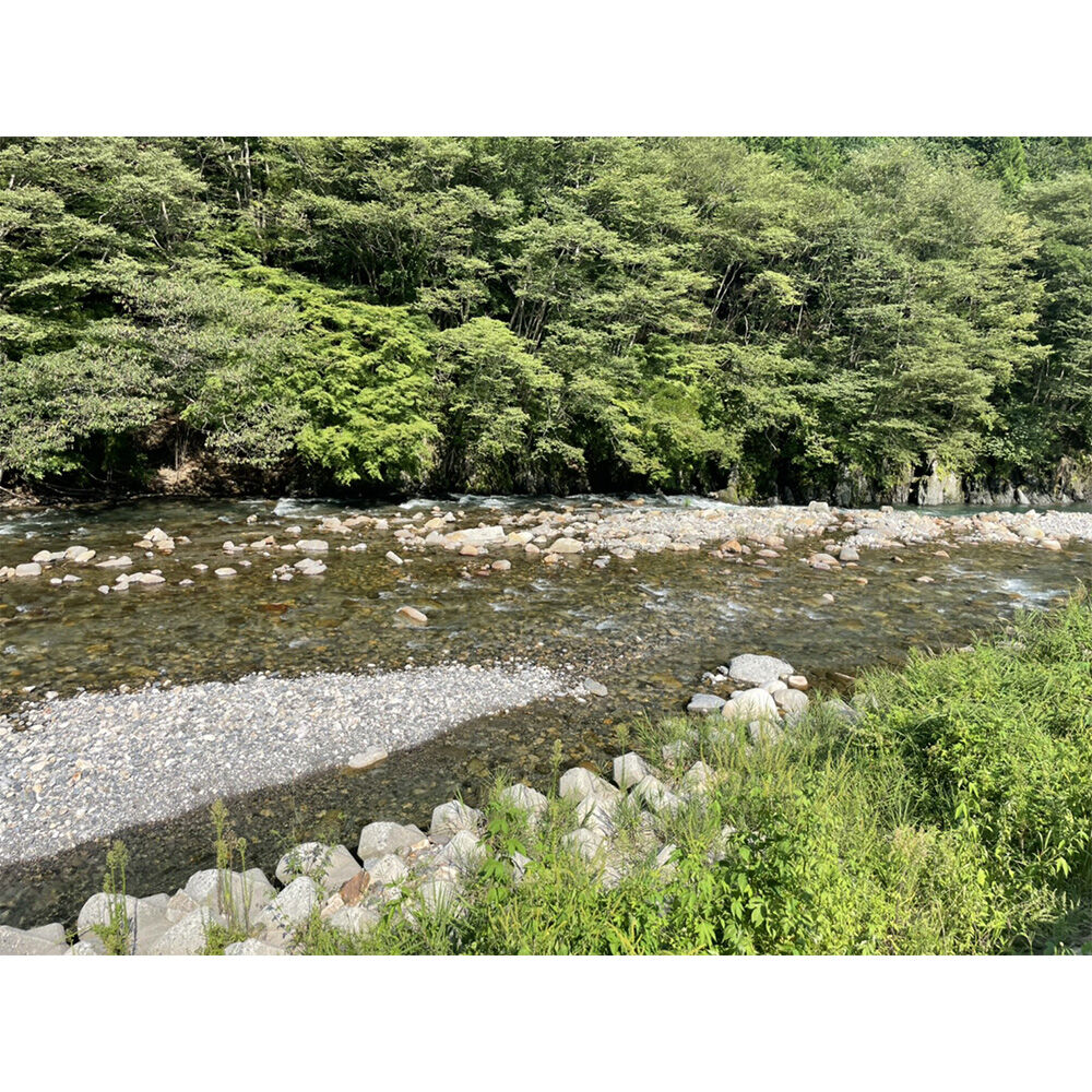 画像4782
