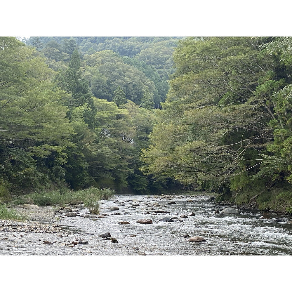 画像4783