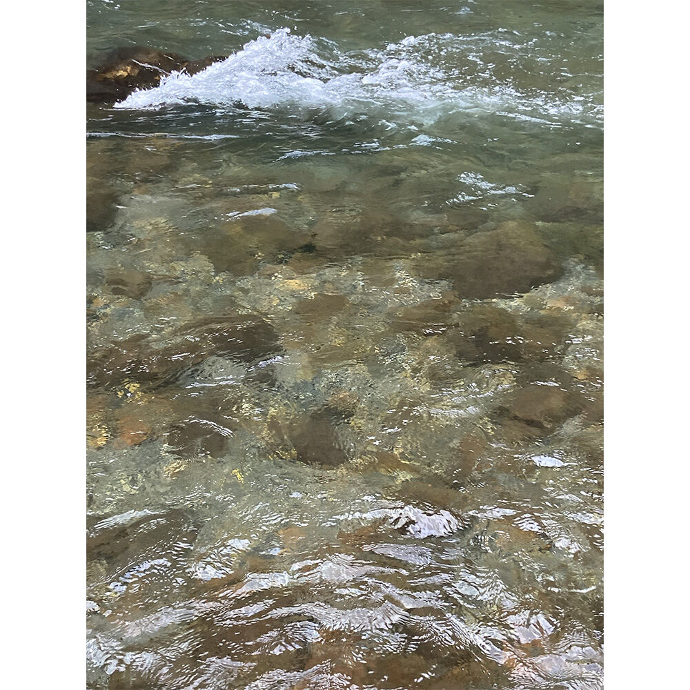 画像4784