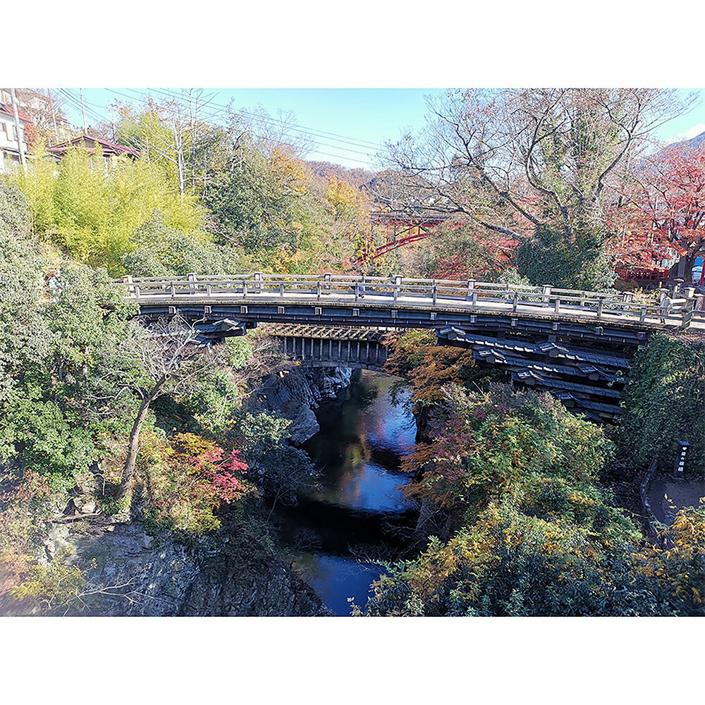 画像4800
